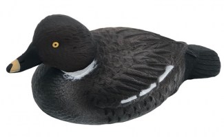 gogol duck
